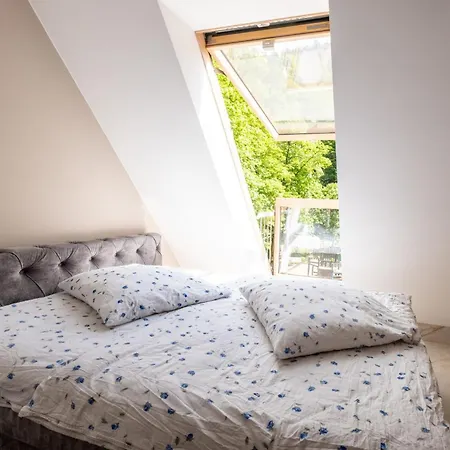 Ferienhaus Haus Saxonia *